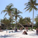 schönste Strand 2011