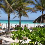 Palmen am Strand von Tulum