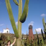 Höchster Kaktus im Kaktusgarten