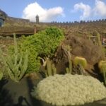 Kaktusgarten auf Lanzarote