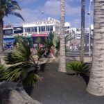 Grünanlagen in Puerto del Carmen