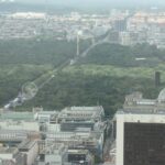 Blick auf den Tiergarten mit Fanmeile und Siegessäule