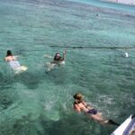 Blick auf die bunte Unterwasserwelt