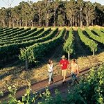 Margaret River - Schlaraffenland im sonnigen Südwesten