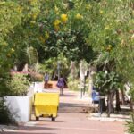 Botanik im Plaza Resort Bonaire