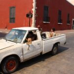 Pickup in der Karibik