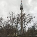 Donautrum Wien, 252 m