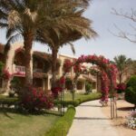 Blumen im Magic Life Kalawy Ägypten